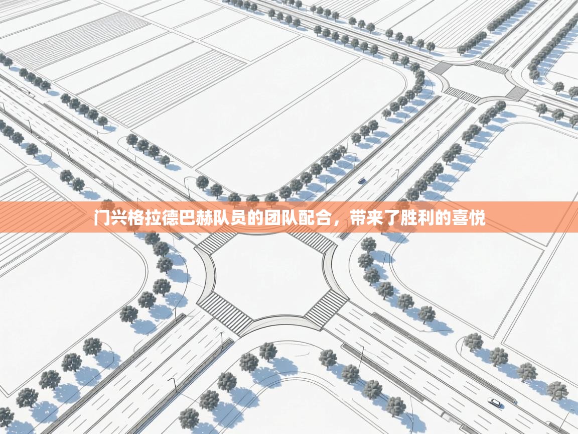 门兴格拉德巴赫队员的团队配合，带来了胜利的喜悦  第1张