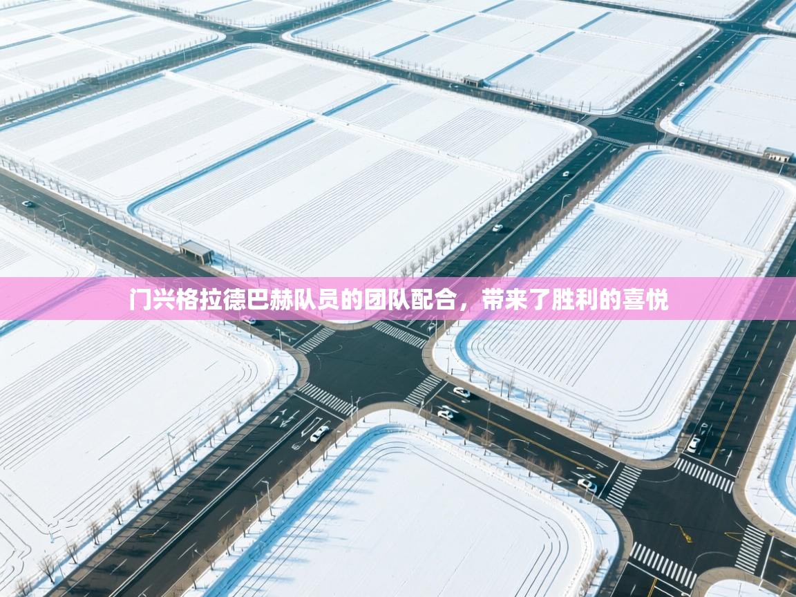 门兴格拉德巴赫队员的团队配合，带来了胜利的喜悦  第2张