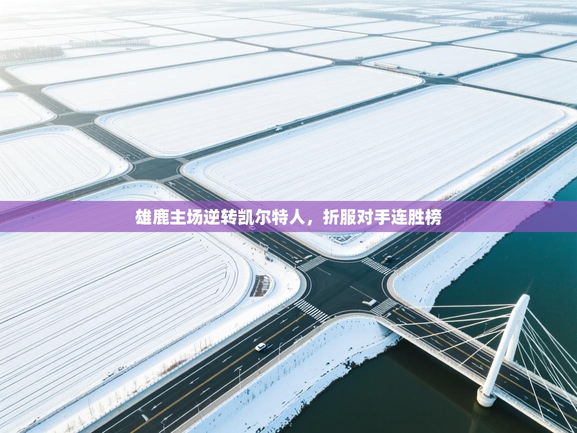 雄鹿主场逆转凯尔特人，折服对手连胜榜