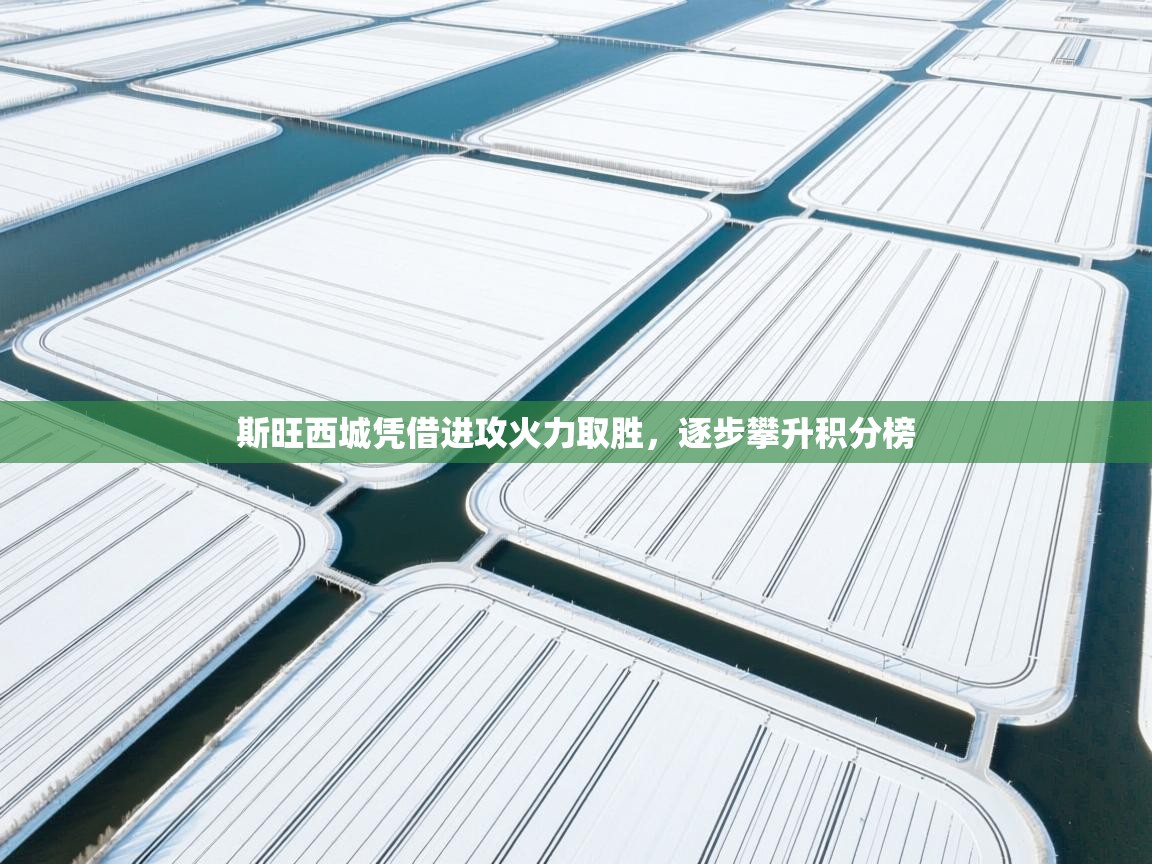 斯旺西城凭借进攻火力取胜,逐步攀升积分榜 第1张