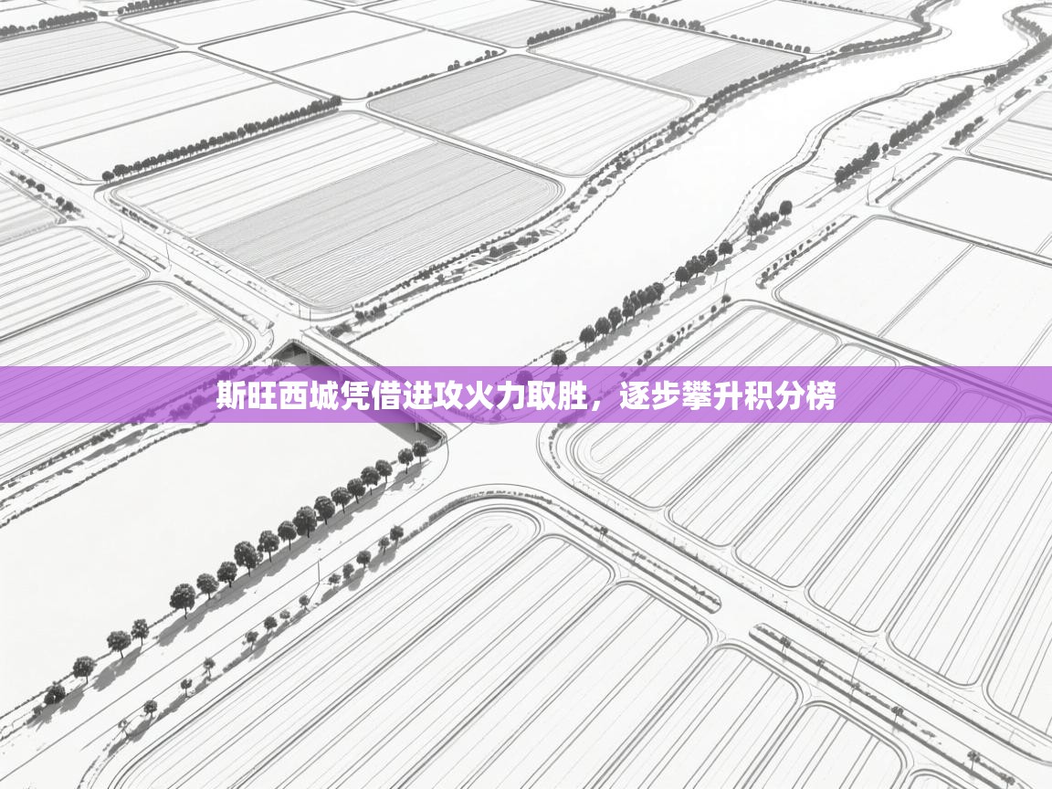 斯旺西城凭借进攻火力取胜,逐步攀升积分榜 第2张